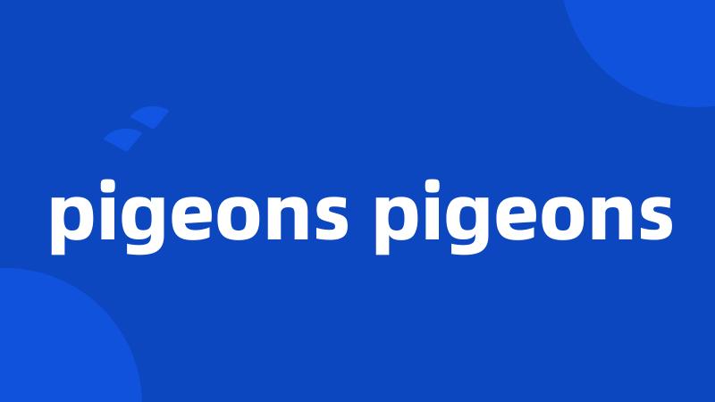 pigeons pigeons