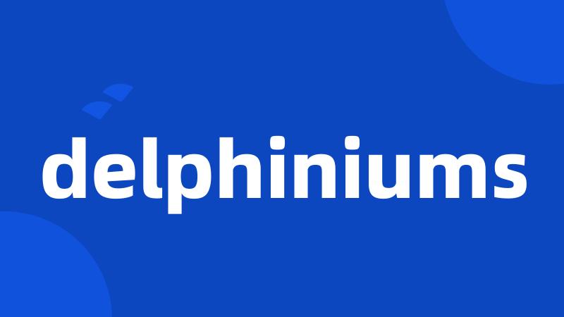 delphiniums