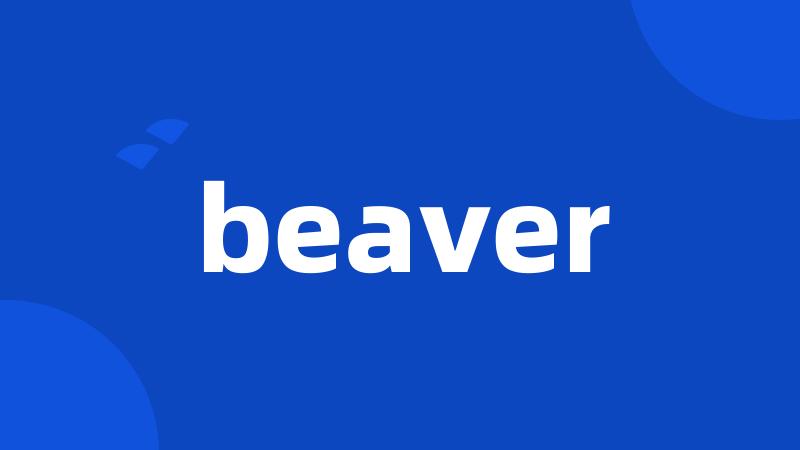 beaver