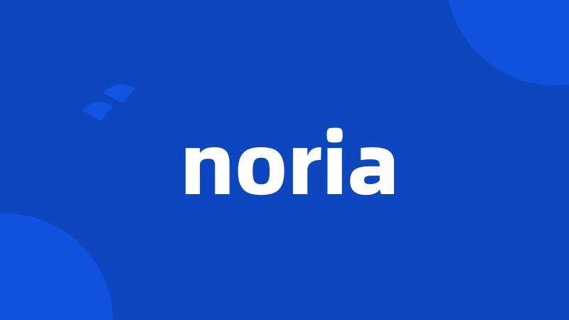 noria