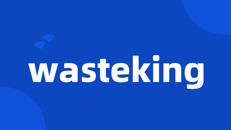 wasteking