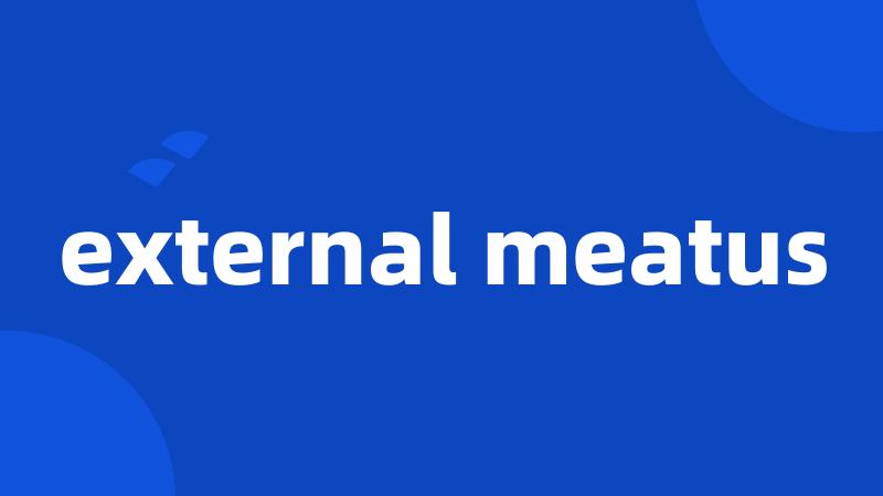 external meatus