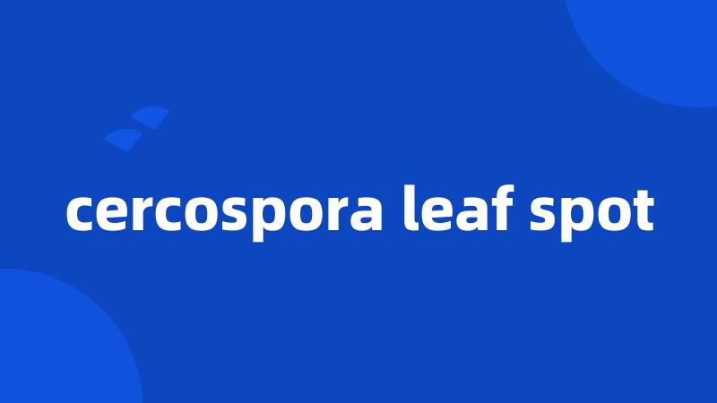 cercospora leaf spot