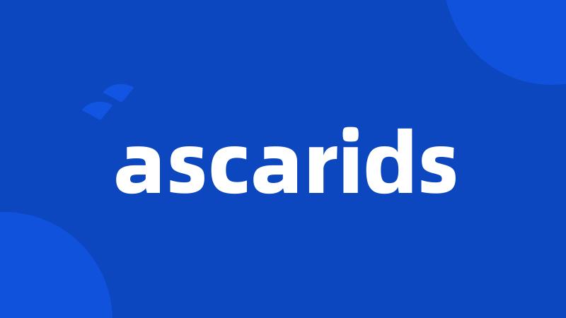 ascarids