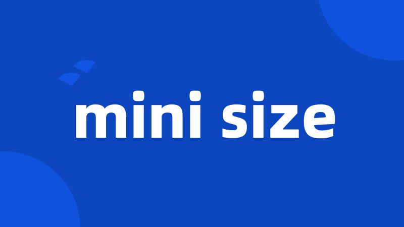 mini size