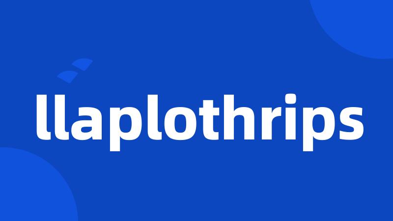 llaplothrips