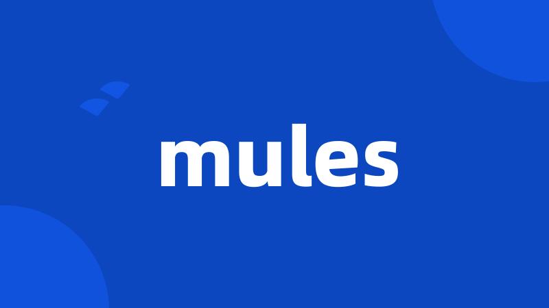 mules