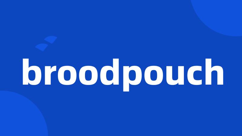 broodpouch