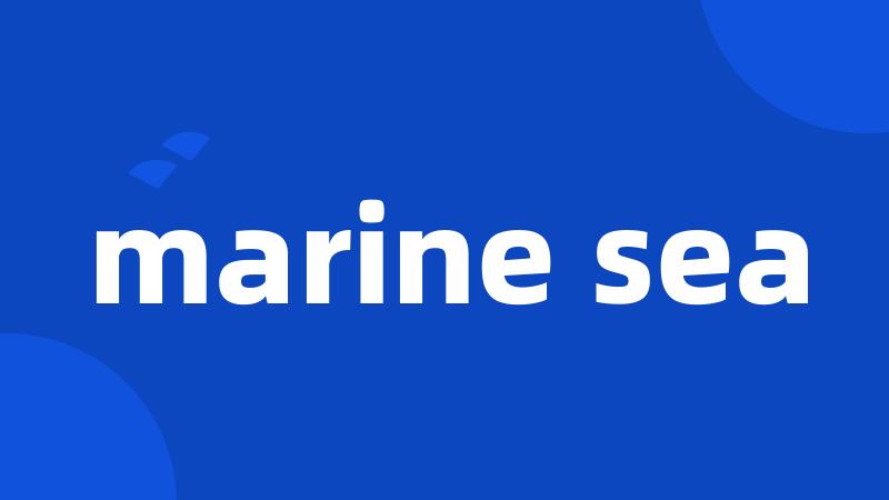 marine sea