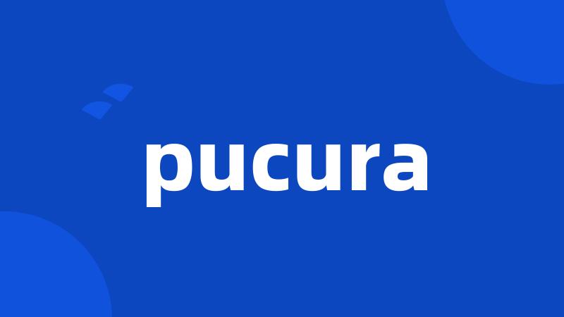 pucura