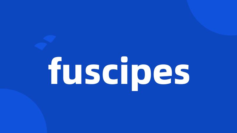 fuscipes