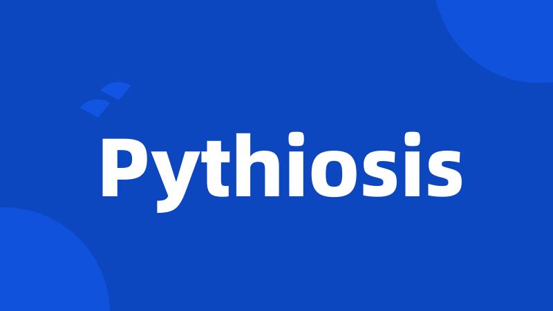 Pythiosis