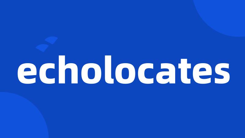 echolocates