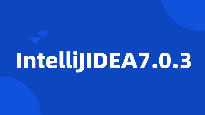 IntelliJIDEA7.0.3