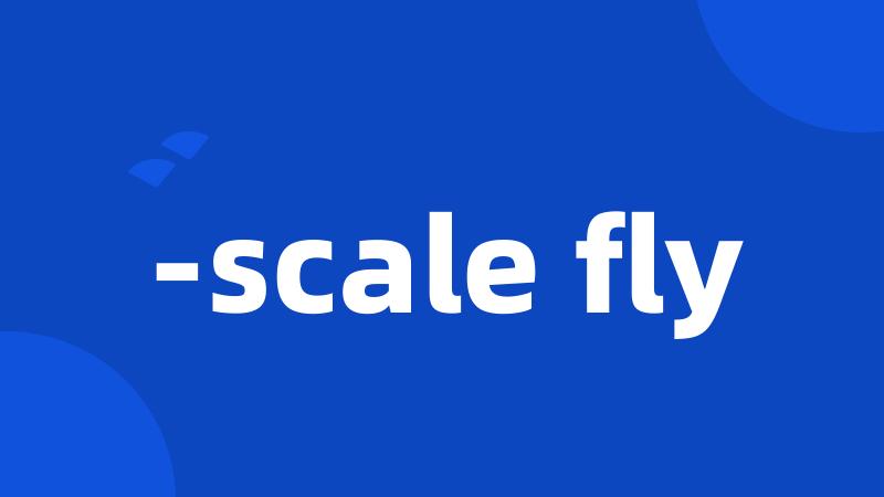 -scale fly