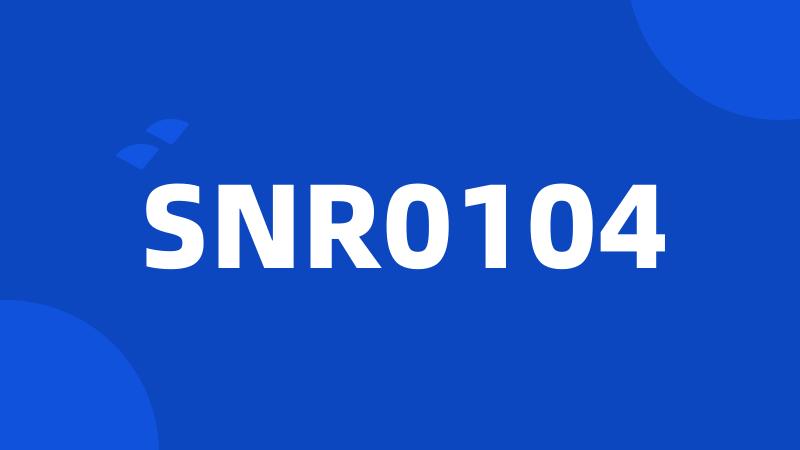 SNR0104