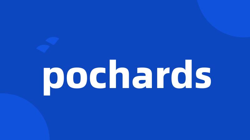 pochards