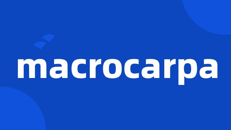 macrocarpa