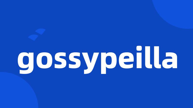 gossypeilla