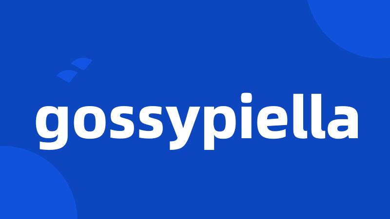 gossypiella