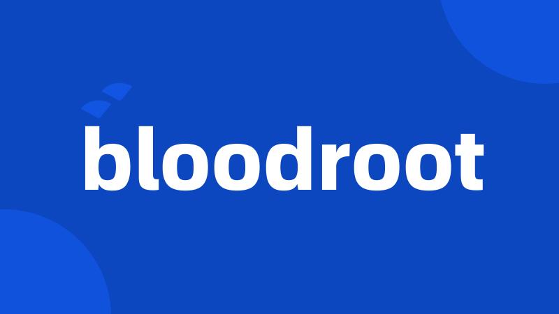 bloodroot