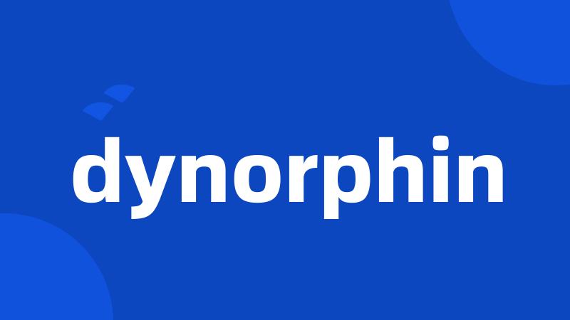 dynorphin