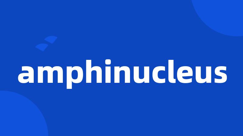 amphinucleus