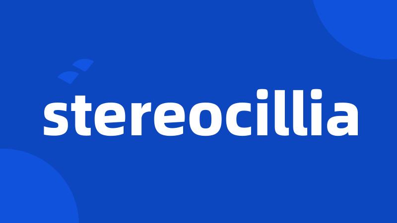 stereocillia