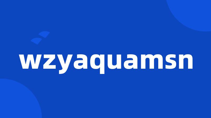 wzyaquamsn