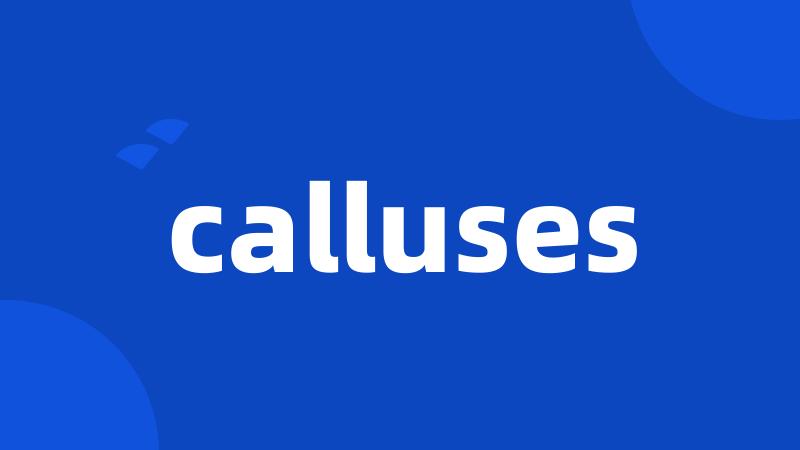 calluses