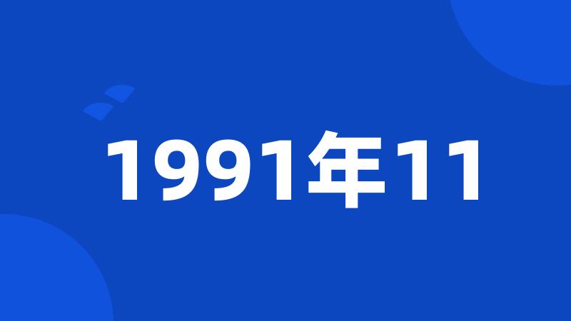 1991年11