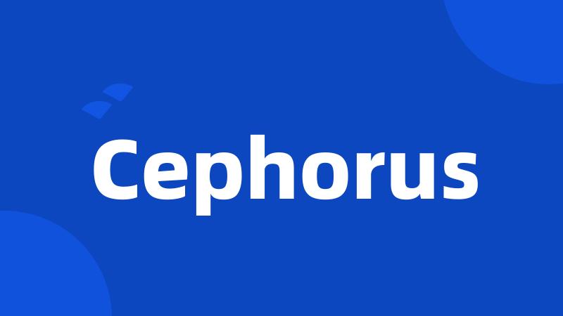 Cephorus