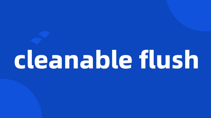 cleanable flush