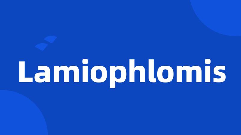 Lamiophlomis