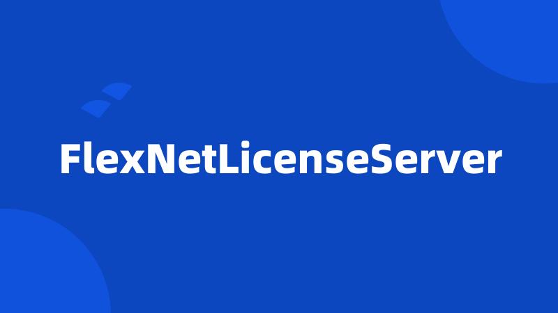 FlexNetLicenseServer