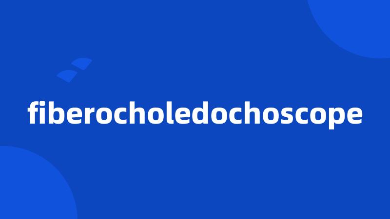 fiberocholedochoscope