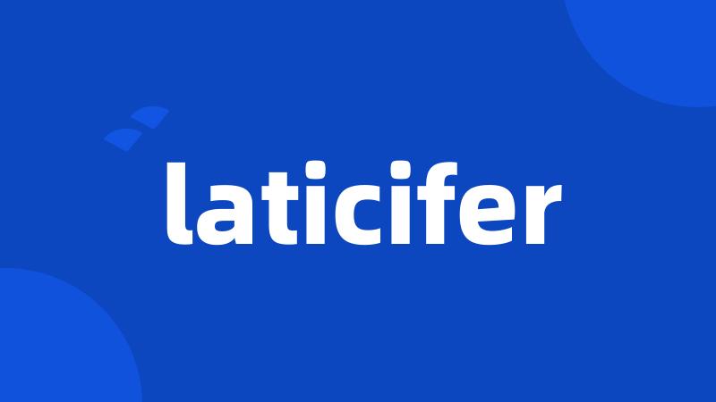 laticifer