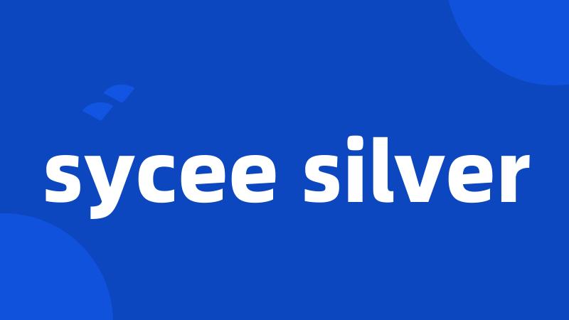 sycee silver