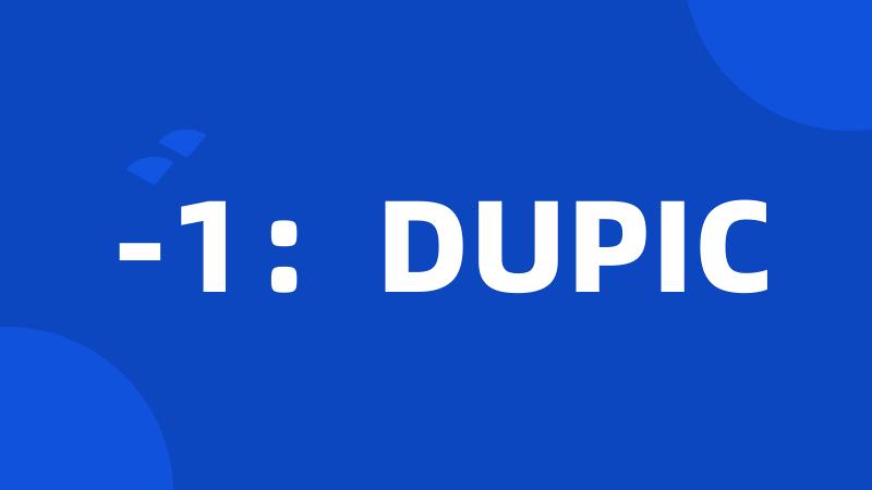 -1：DUPIC