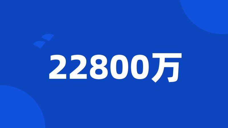 22800万