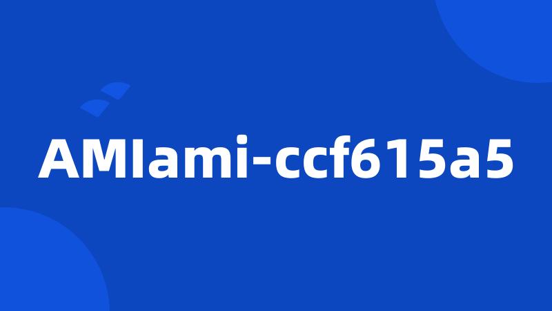 AMIami-ccf615a5
