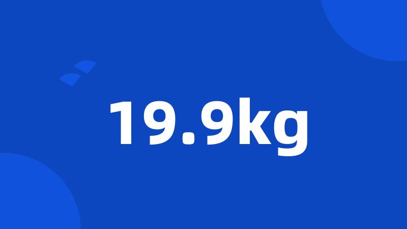 19.9kg