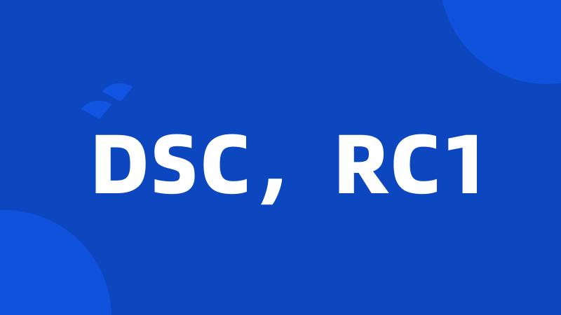 DSC，RC1