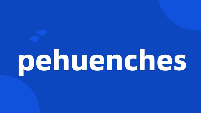 pehuenches
