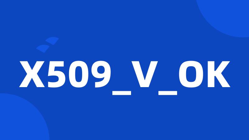 X509_V_OK