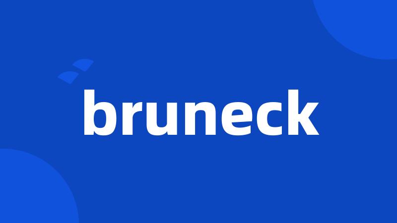 bruneck