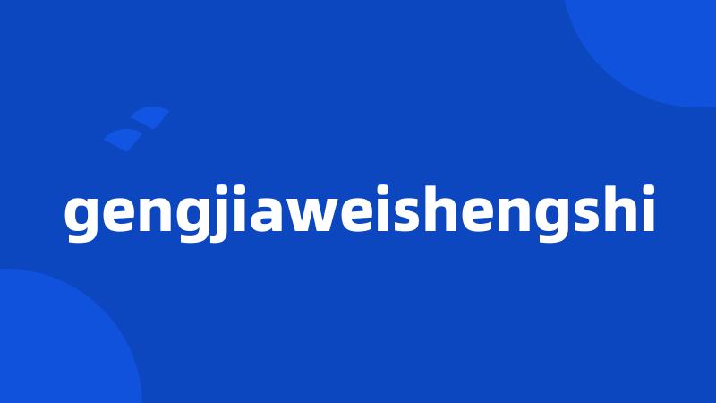 gengjiaweishengshi