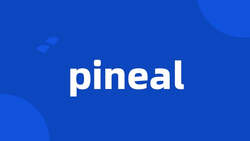 pineal