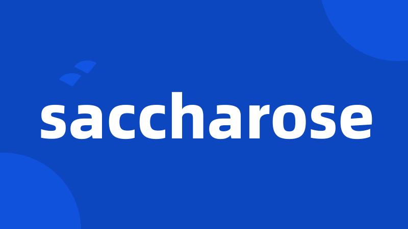 saccharose