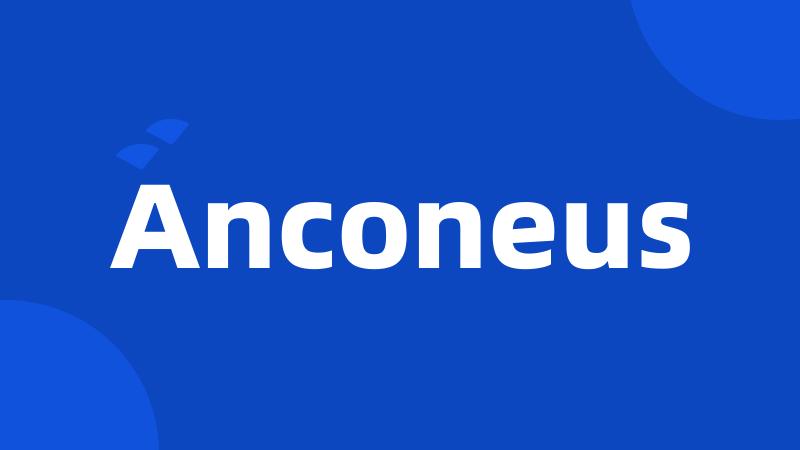 Anconeus